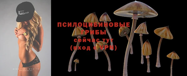 гидра Алзамай