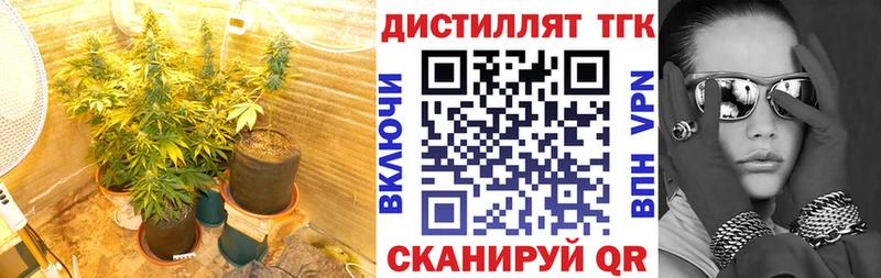 ТГК вейп  это Telegram  Пикалёво 