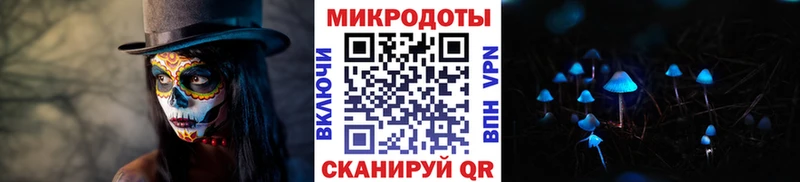Псилоцибиновые грибы прущие грибы  Пикалёво 